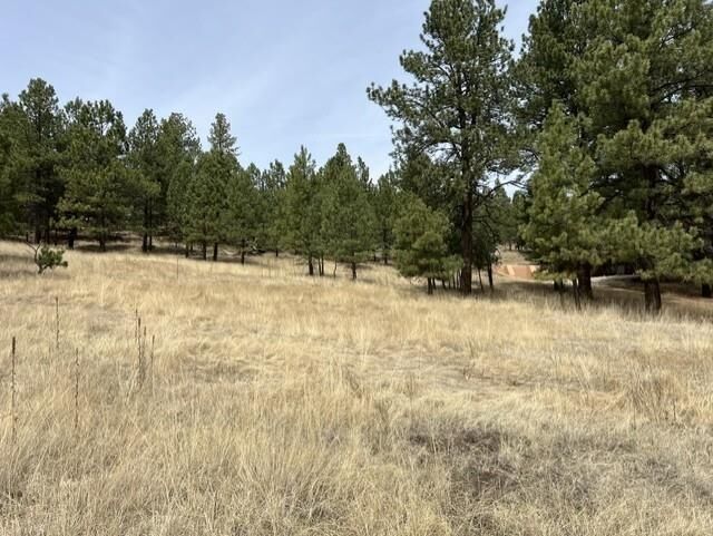 Property Photo:  1066A Woodlands  NM 87710-0000 