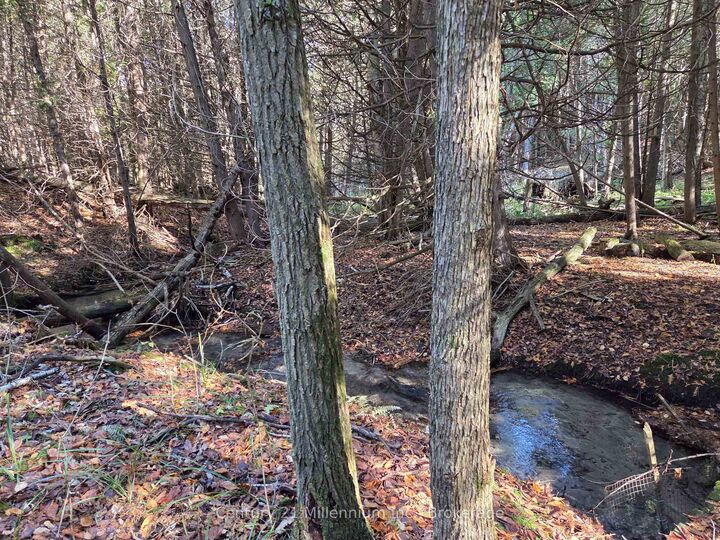 Property Photo:  627383 15 Side Road  ON L0N 1M0 