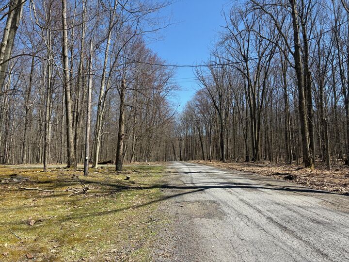 Property Photo:  18 Pimlico Rd  PA 15801 