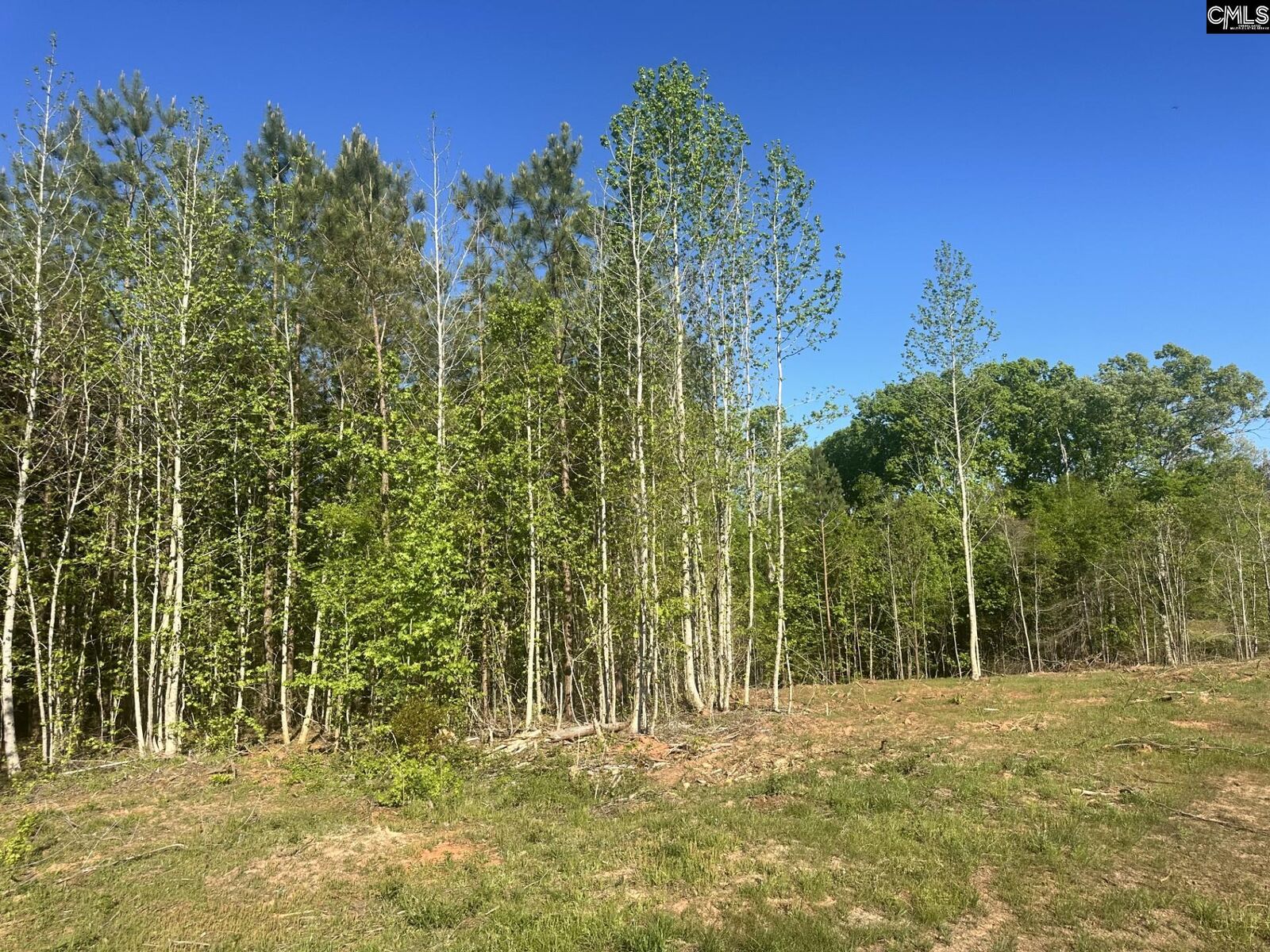 Property Photo:  2145 Livingston  SC 29126 