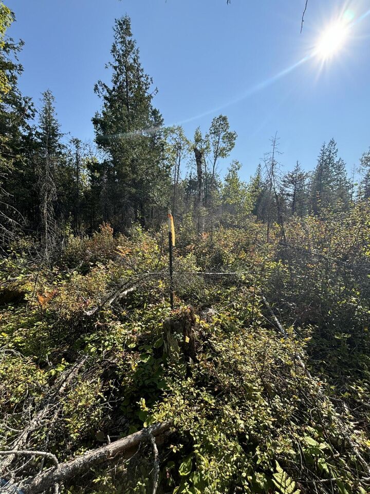 Property Photo:  585 N Czech Ln  MI 49745 