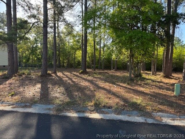 Property Photo: 213 Waddell Drive NC 28301