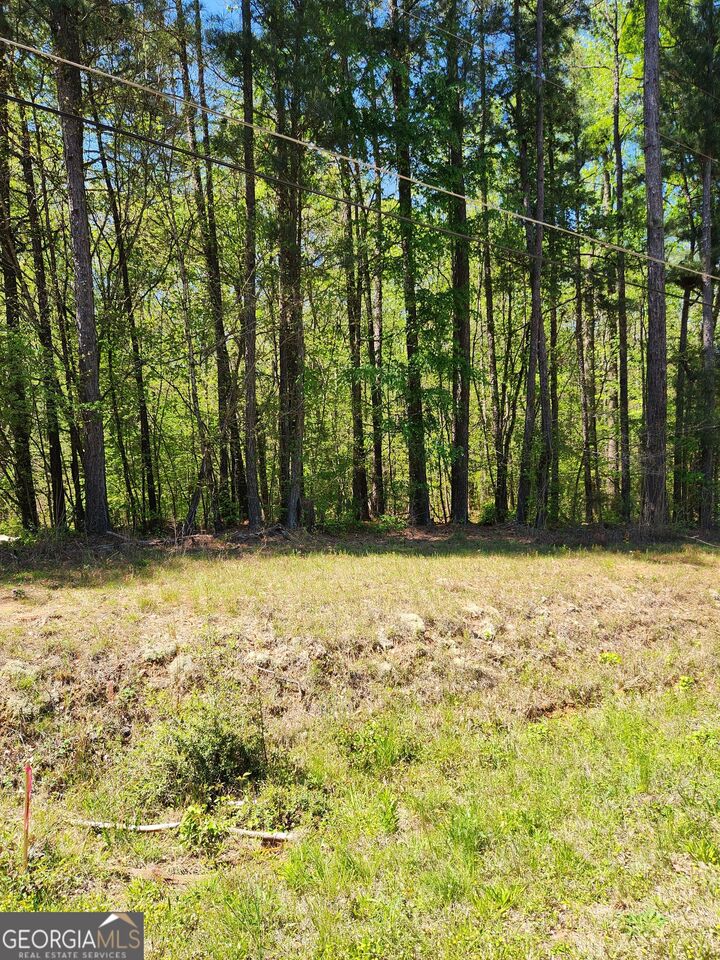 Property Photo:  674 Lower River Road  GA 30016 