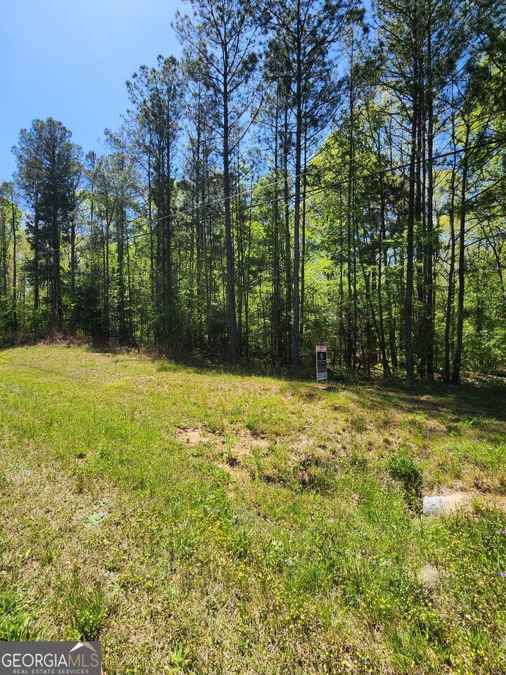 Property Photo:  674 Lower River Road  GA 30016 