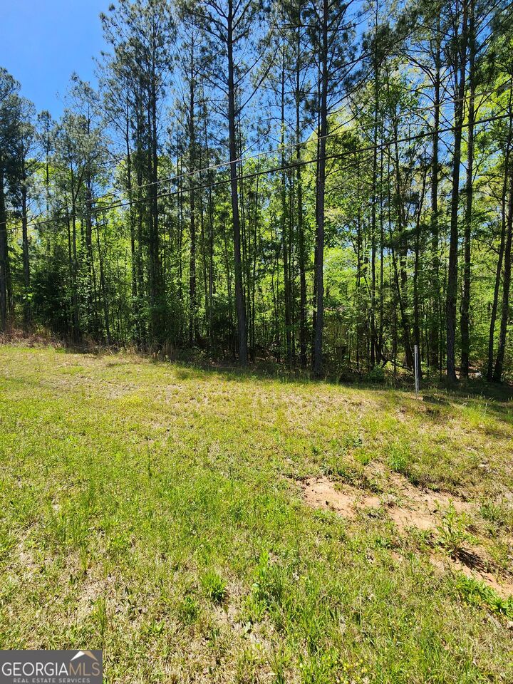 Property Photo: 674 Lower River Road GA 30016