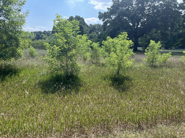 Property Photo:  3380 Babylon Road  MI 49010 