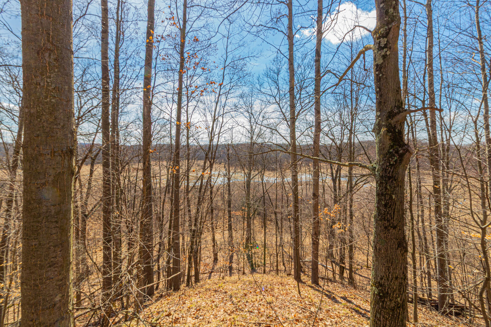 Property Photo:  V/L 17 Mile Road  MI 49342 