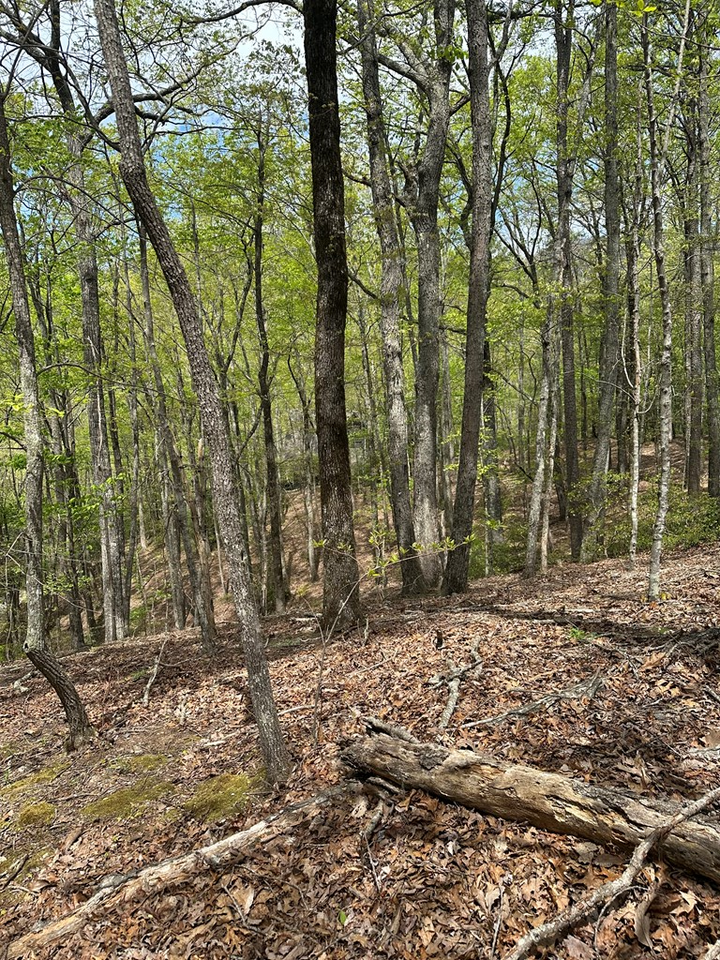 Property Photo:  Lt B87 Laurel Lane  GA 30560 