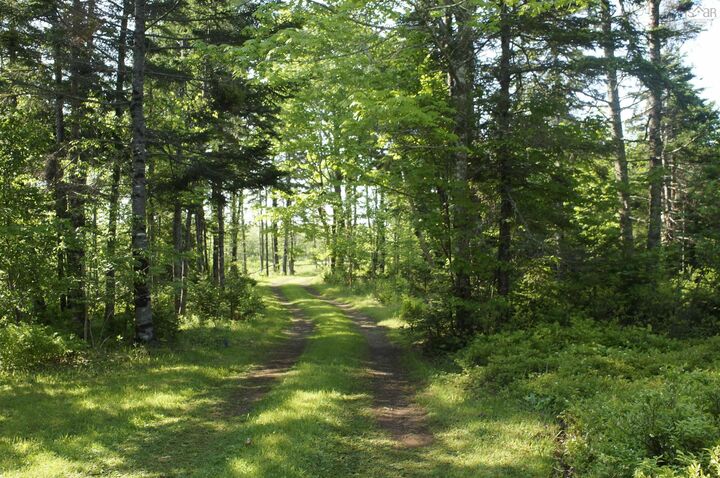 Property Photo:  4031 Loch Lomond Road  NS B0A 1H0 