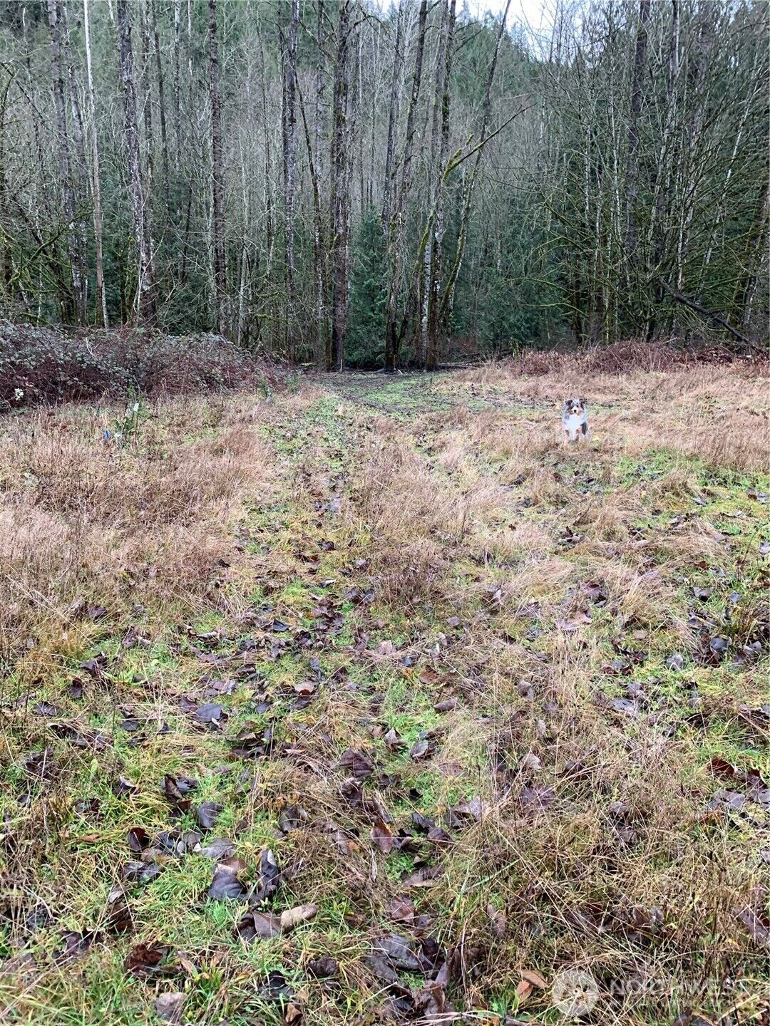 Property Photo:  3838 E Hoff  WA 98247 