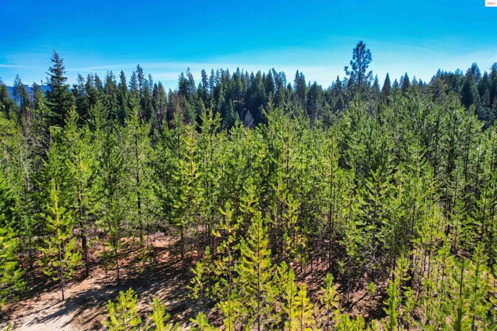Property Photo:  Nna 20 Acres Juniper Lane  ID 83847 