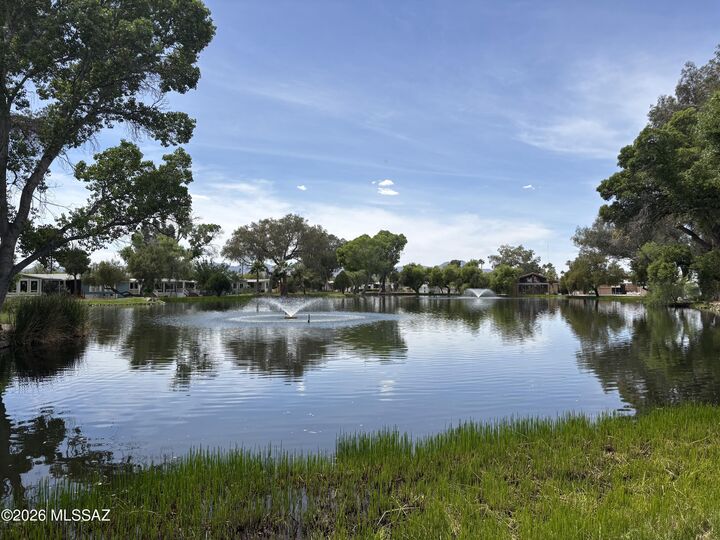 Property Photo:  4550 N Flowing Wells Road 65  AZ 85705 