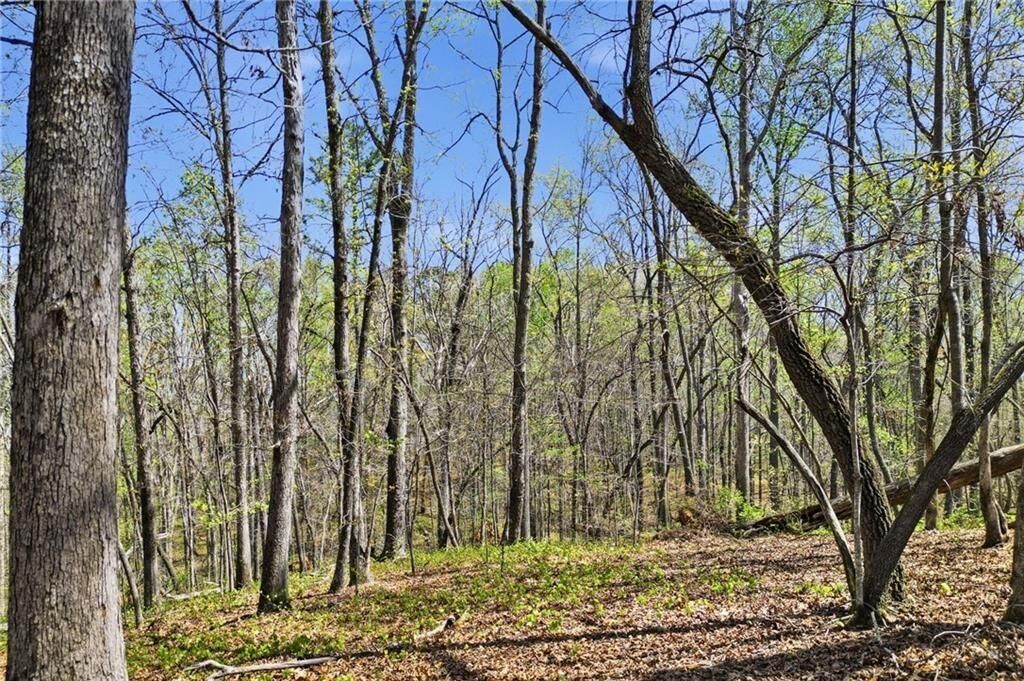 Property Photo: 121 Heritage Plantation Drive GA 30107