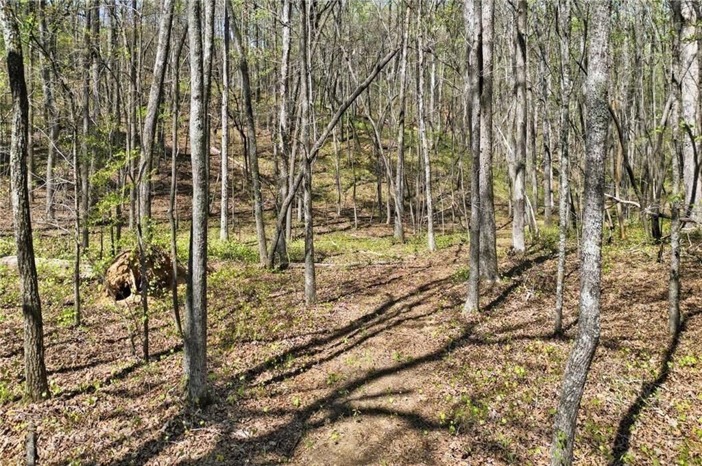 Property Photo: 101 Heritage Plantation Drive GA 30107