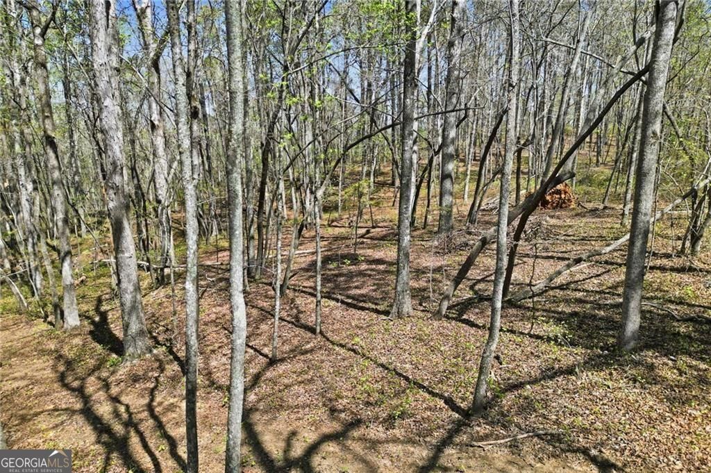 Property Photo: 109 Heritage Plantation Drive GA 30107
