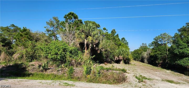 Property Photo:  815 N Palm Street  FL 33440 