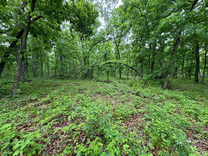 Property Photo: Xxx State Highway A & Cardinal Way MO 63546