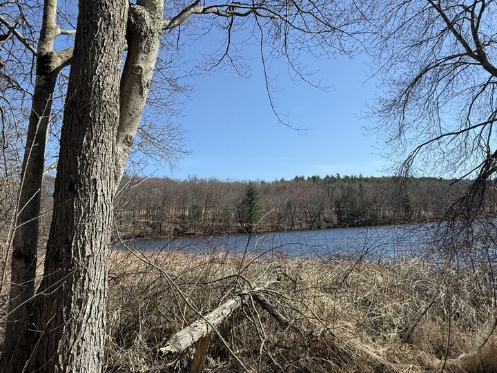 Property Photo:  277 River Drive  MA 01035 