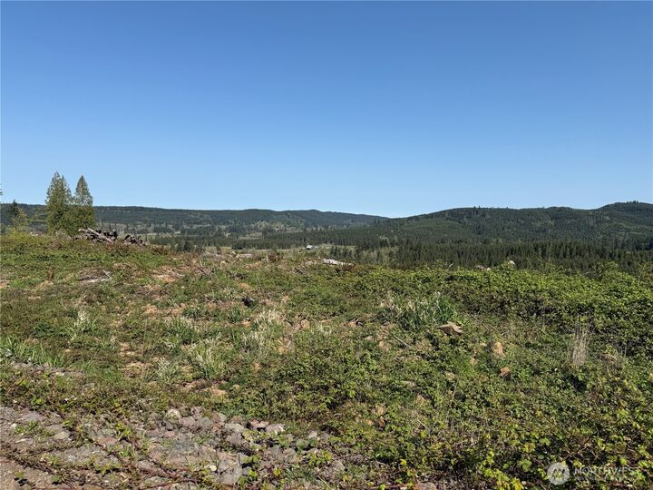 Property Photo:  6 Xx  Oppelt Road  WA 98532 