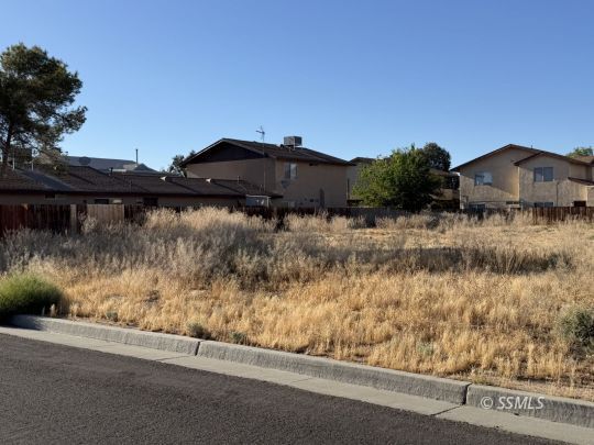 Property Photo:  453-062-27 &Amp 28 Alene Ave  CA 93555 