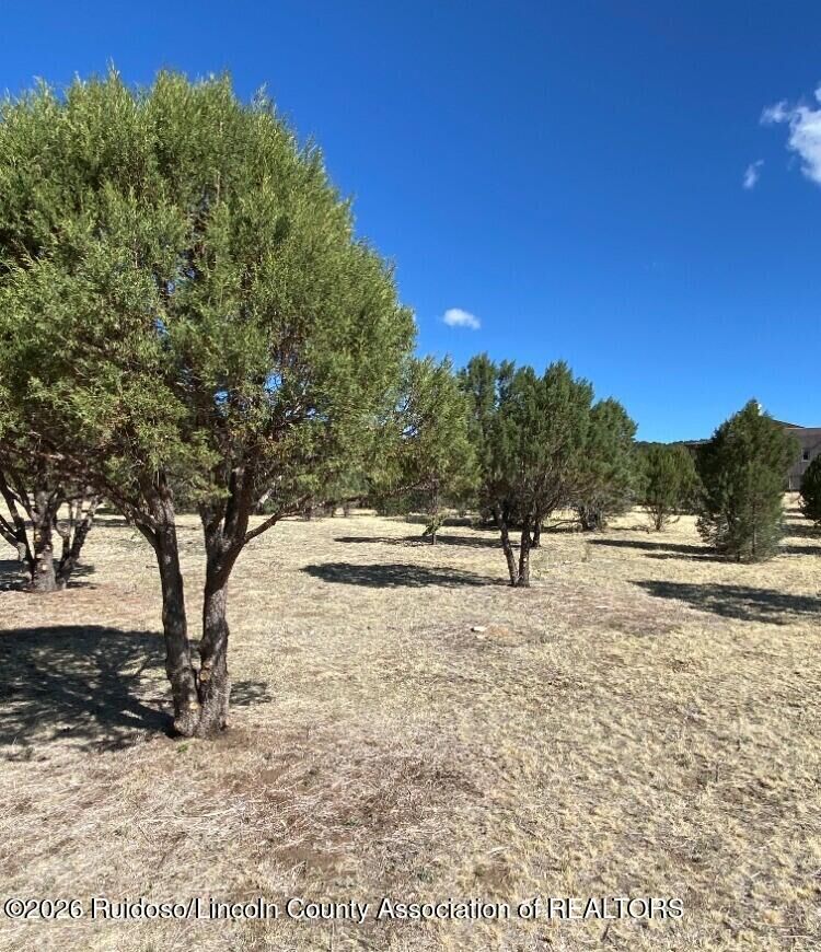 Property Photo: 152 Reindeer Drive 6 NM 88312