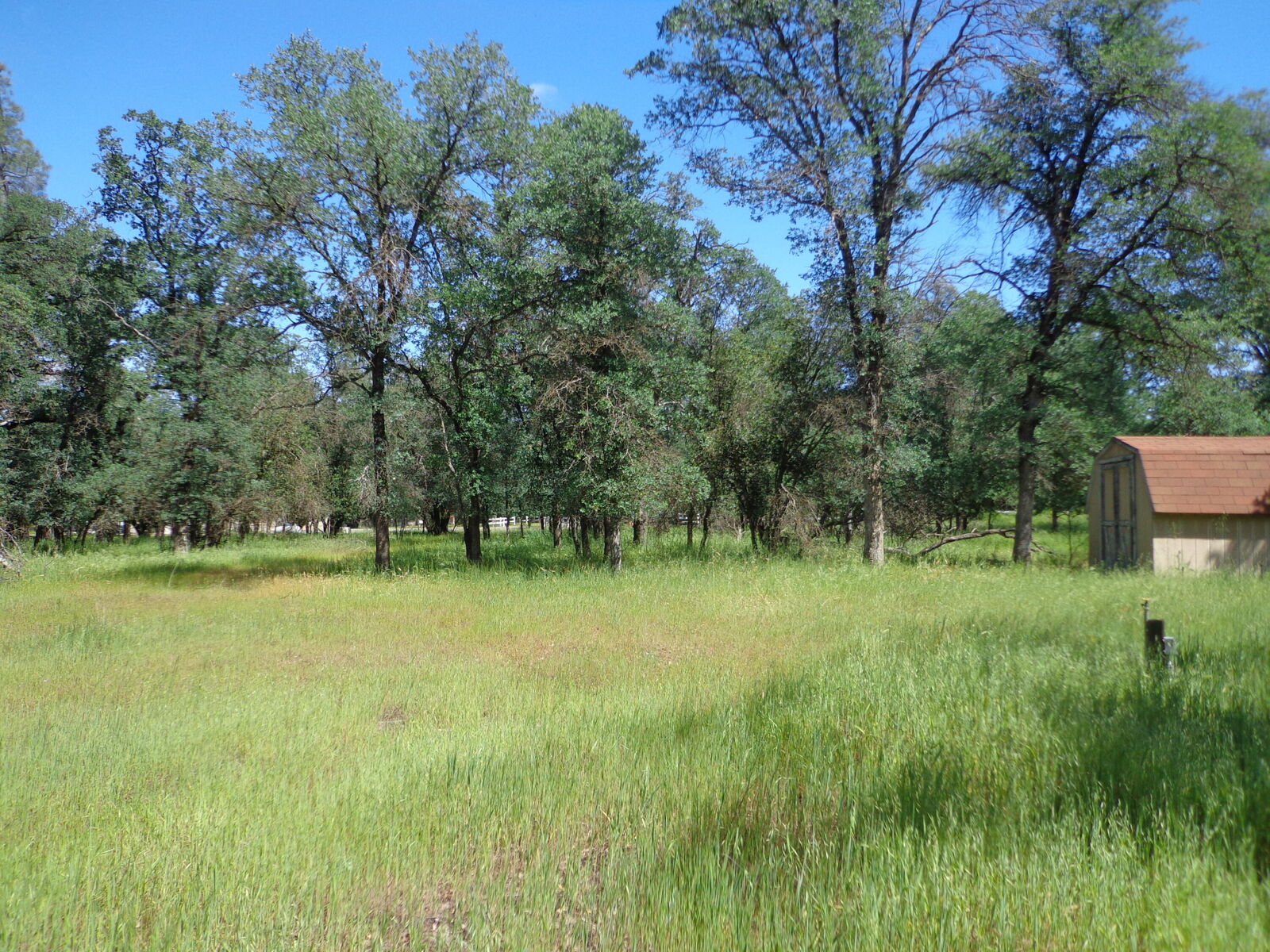 Property Photo:  18287 Sterling Place  CA 96022 