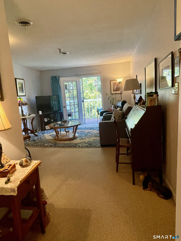 Property Photo:  625 Palisado Avenue 313  CT 06095 