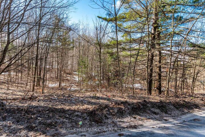 Property Photo:  19 Birch Grove Drive  ON L0L 2L0 