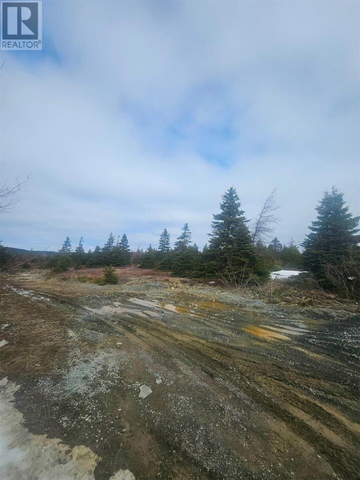 Property Photo:  153 Seymours Road  NL A0A 3X0 