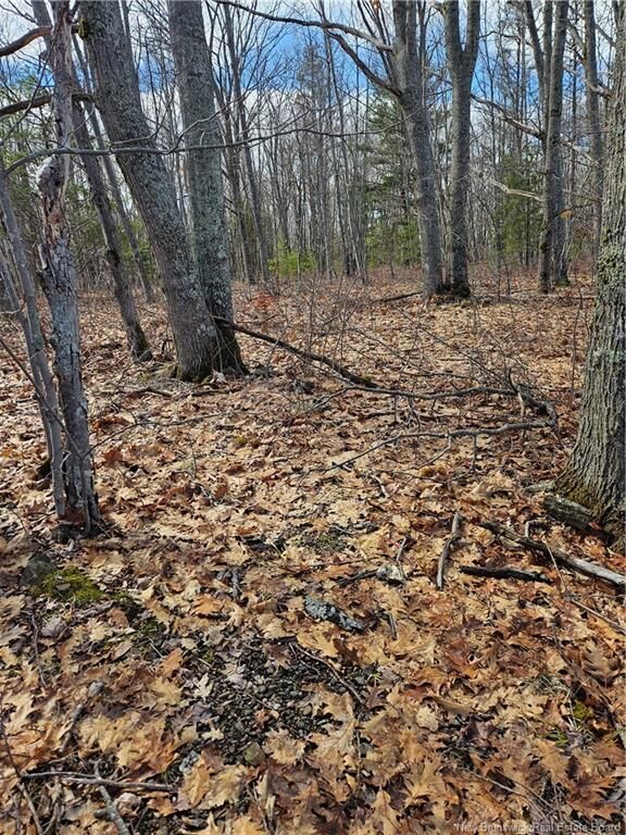 Property Photo:  Lot Cox Point Road  NB E4A 2Y5 