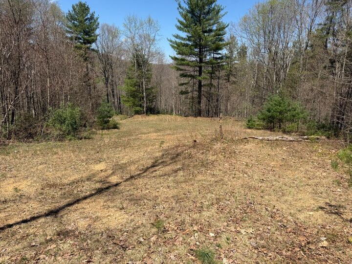 Property Photo:  Morris Branch Road  WV 25976 