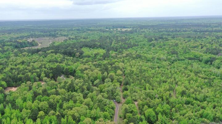 Property Photo:  0000 County Road 4346-A  TX 75555 