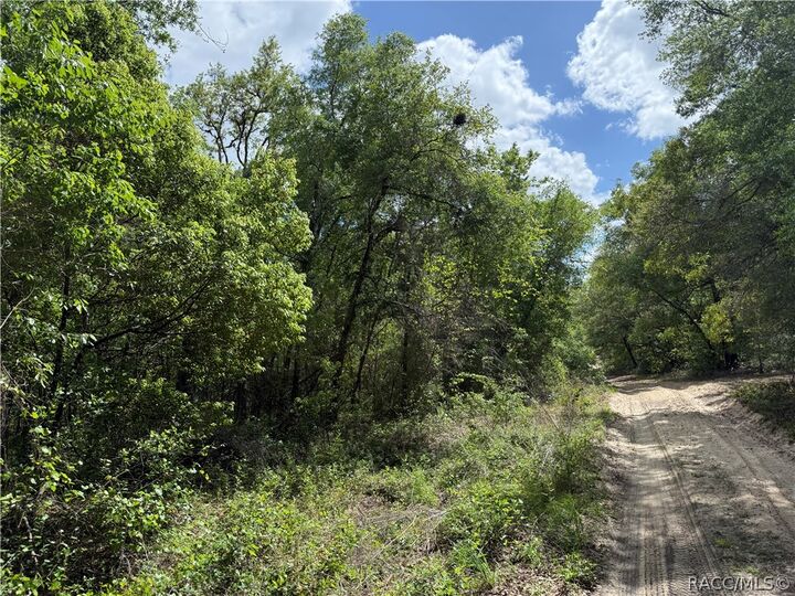 Property Photo:  112 S Crestview Avenue  FL 34452 
