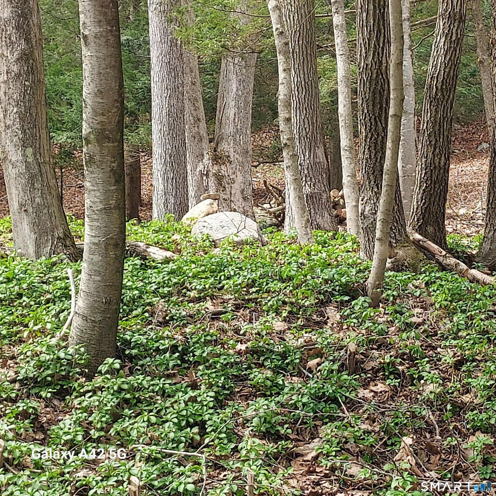 Property Photo:  Merrow Road  CT 06238 