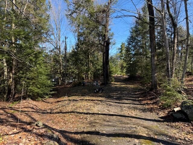 Property Photo:  0 South Crane Lake Road  ON P2A 0B7 