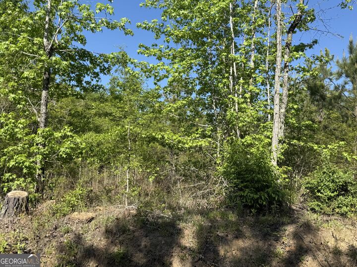 Property Photo:  8087 Sandhill Road  GA 30820 