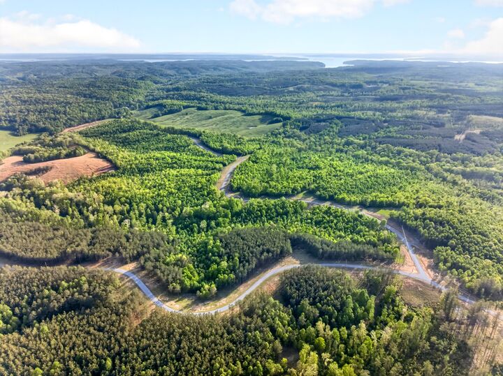 Property Photo:  0 The Retreat At Paris Landing  TN 37058 