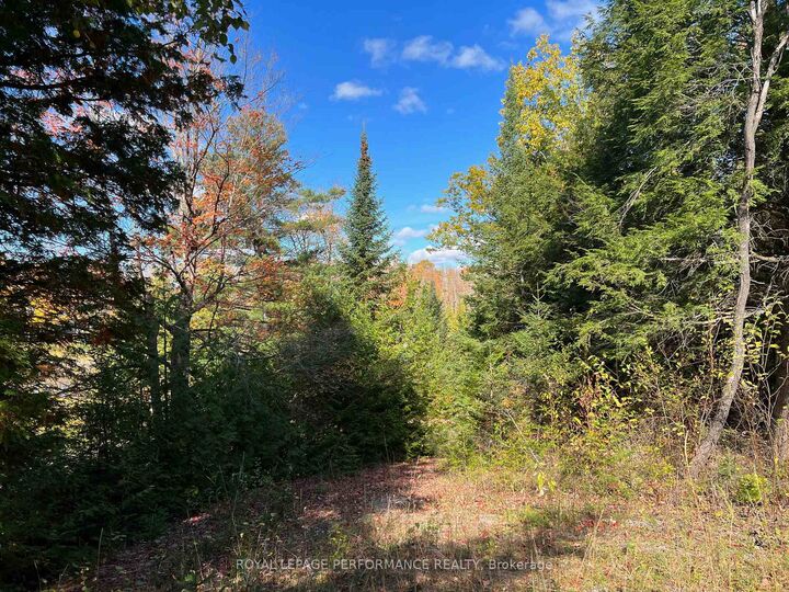 Property Photo: 304 Lacourse Lane ON K0A 3L0