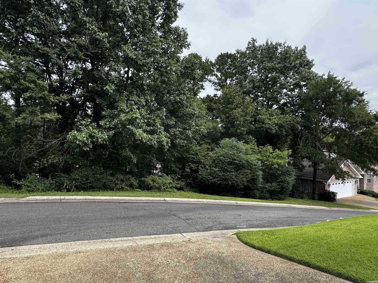 Property Photo:  Lot 28 Forest View Circle  AR 71913 
