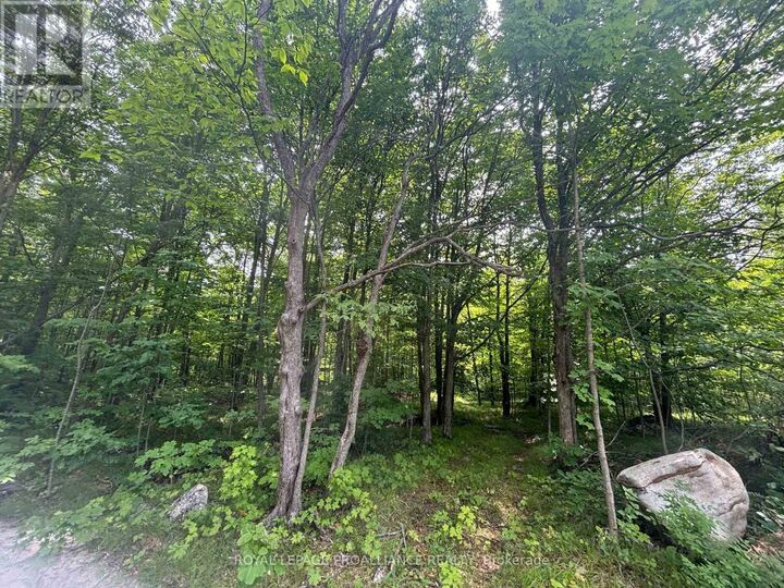 Property Photo:  554 Pigden Road Severed B  ON K0K 2K0 
