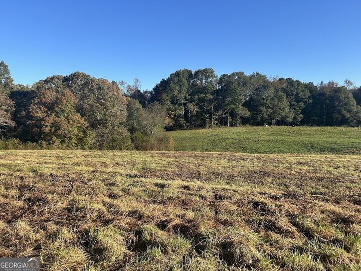 Property Photo:  0 Old Columbus Road  GA 30108 