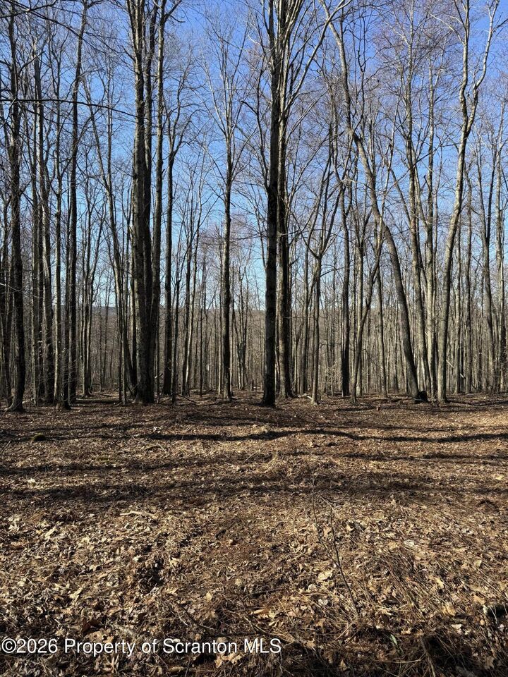 Property Photo:  Ash Gap Road  PA 18444 