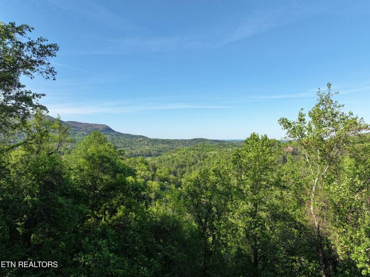 Property Photo:  Dove View Rd Lot 13  TN 37862 