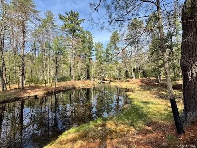 Property Photo: 20 Reber Road NY 12732