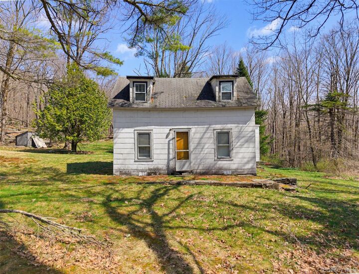Property Photo:  467 Old Hunter Road  NY 12758 