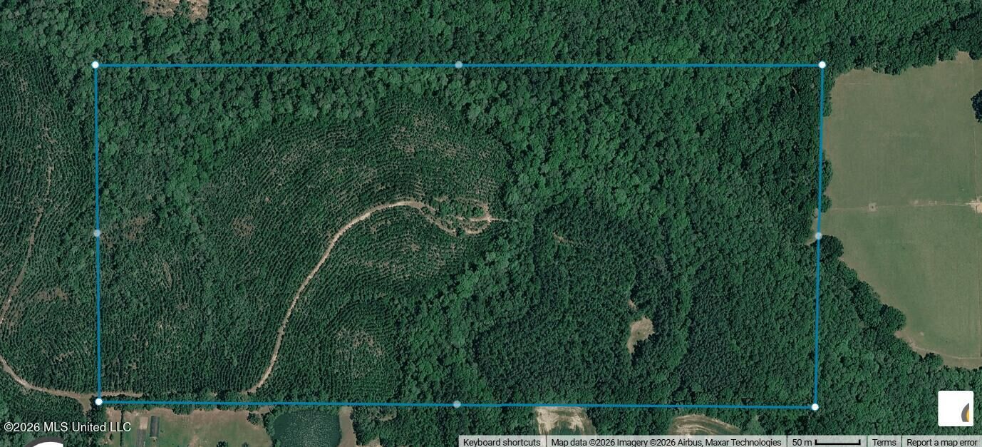 Property Photo:  80+/-Ac Little Cedar Road  MS 39452 