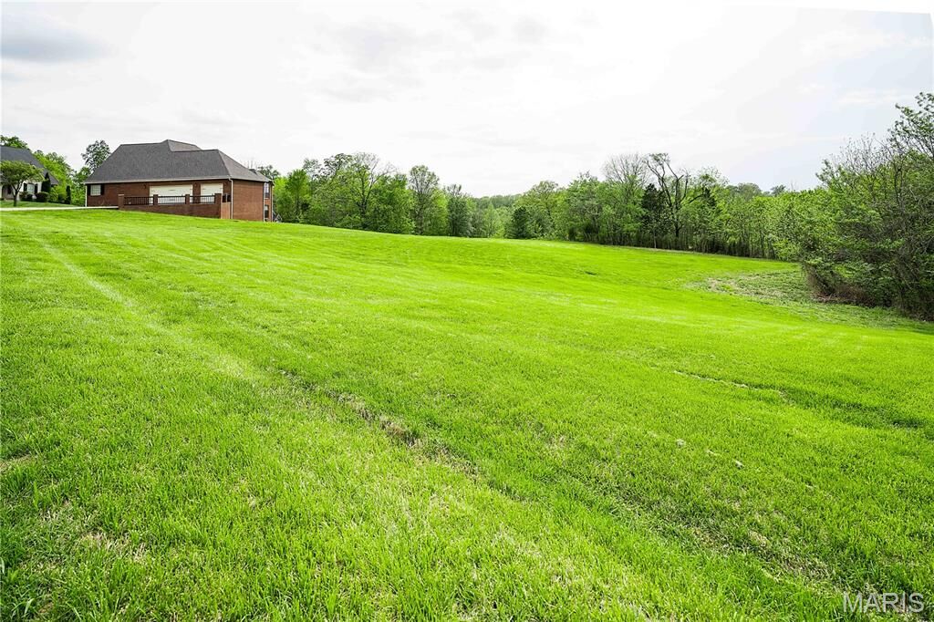 Property Photo: 227 Willowbrook Bend MO 63701