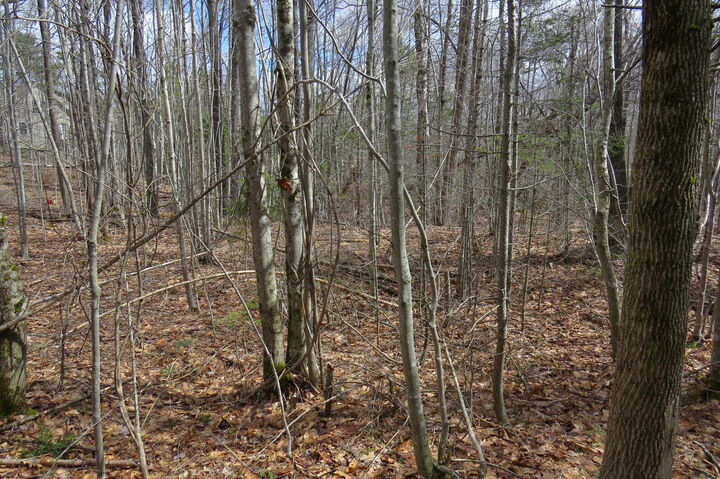 Property Photo:  0 Oak Hill Road  ME 04472 