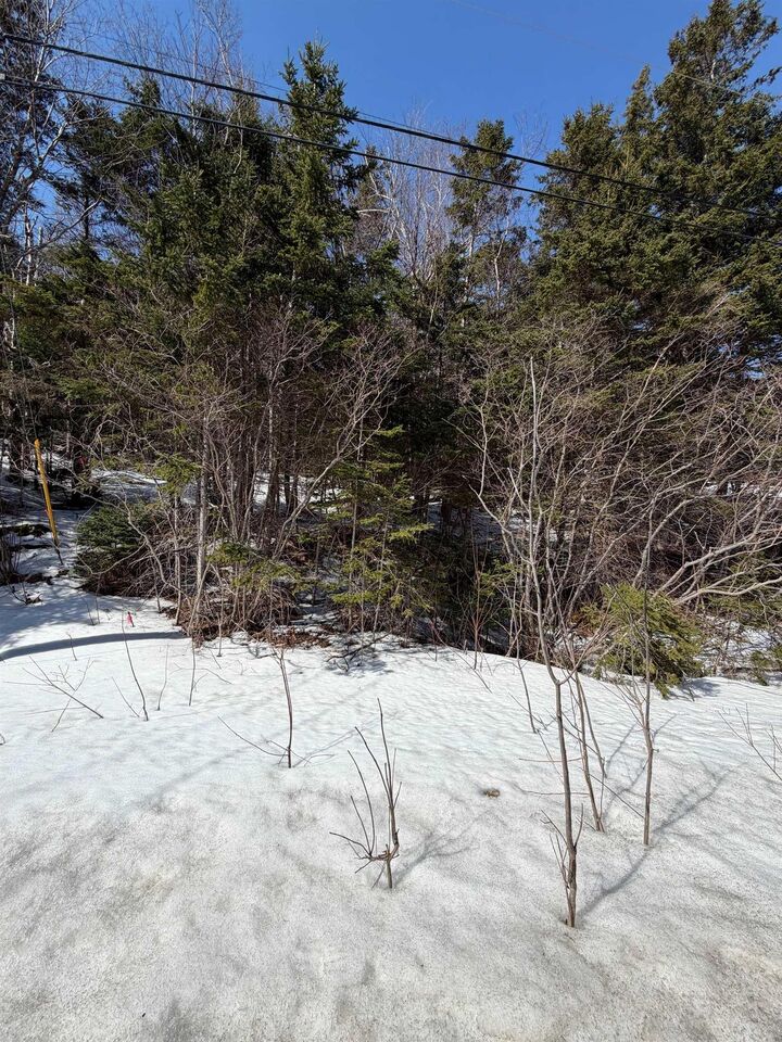 Lot 19 Scotsville Rd, Kenloch, Nova Scotia, B0e 1N0 — photo 1