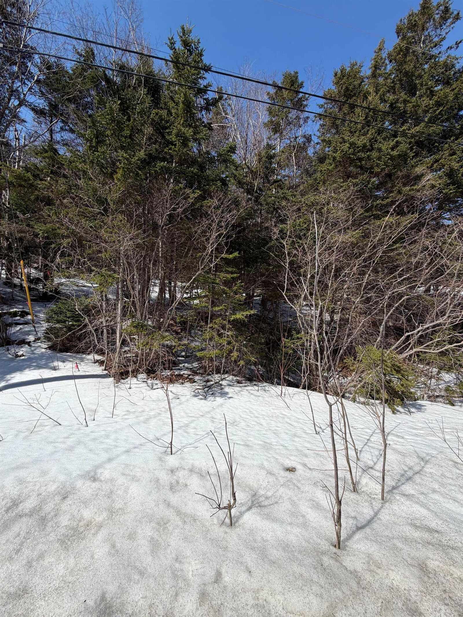 Property Photo:  Lot 19 Scotsville Rd, Kenloch, Nova Scotia, B0e 1N0  NS B0E 1N0 